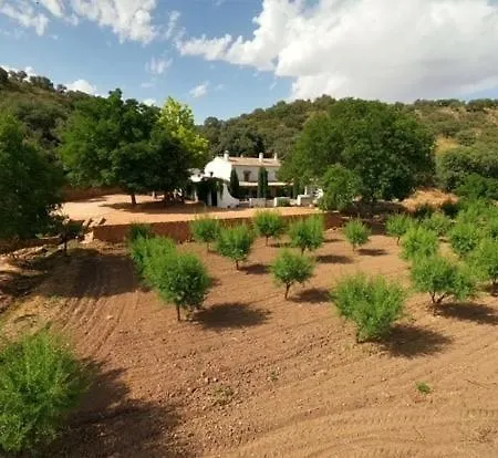 Casa Rural Finca El Tobar Ossa de Montiel Exterior photo